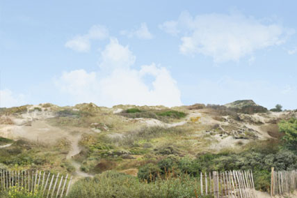 photo-grand-site-dune-flandres.jpg