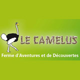 logo-camelus.jpg