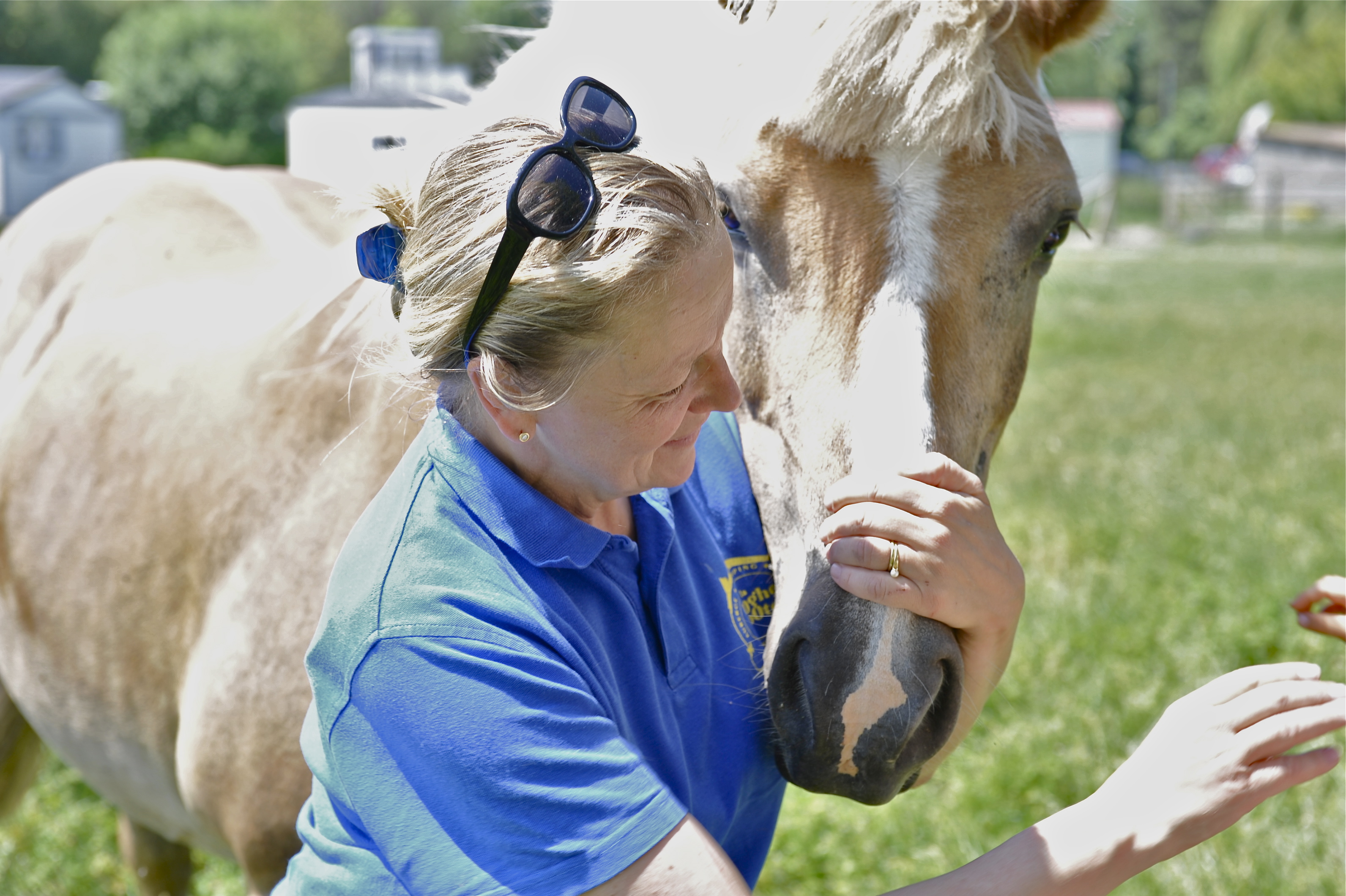 camping hooghe moote