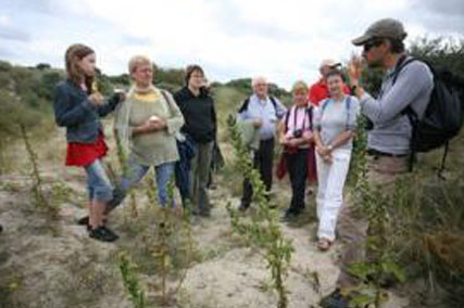 photo-rando-dunes-fossiles.jpg